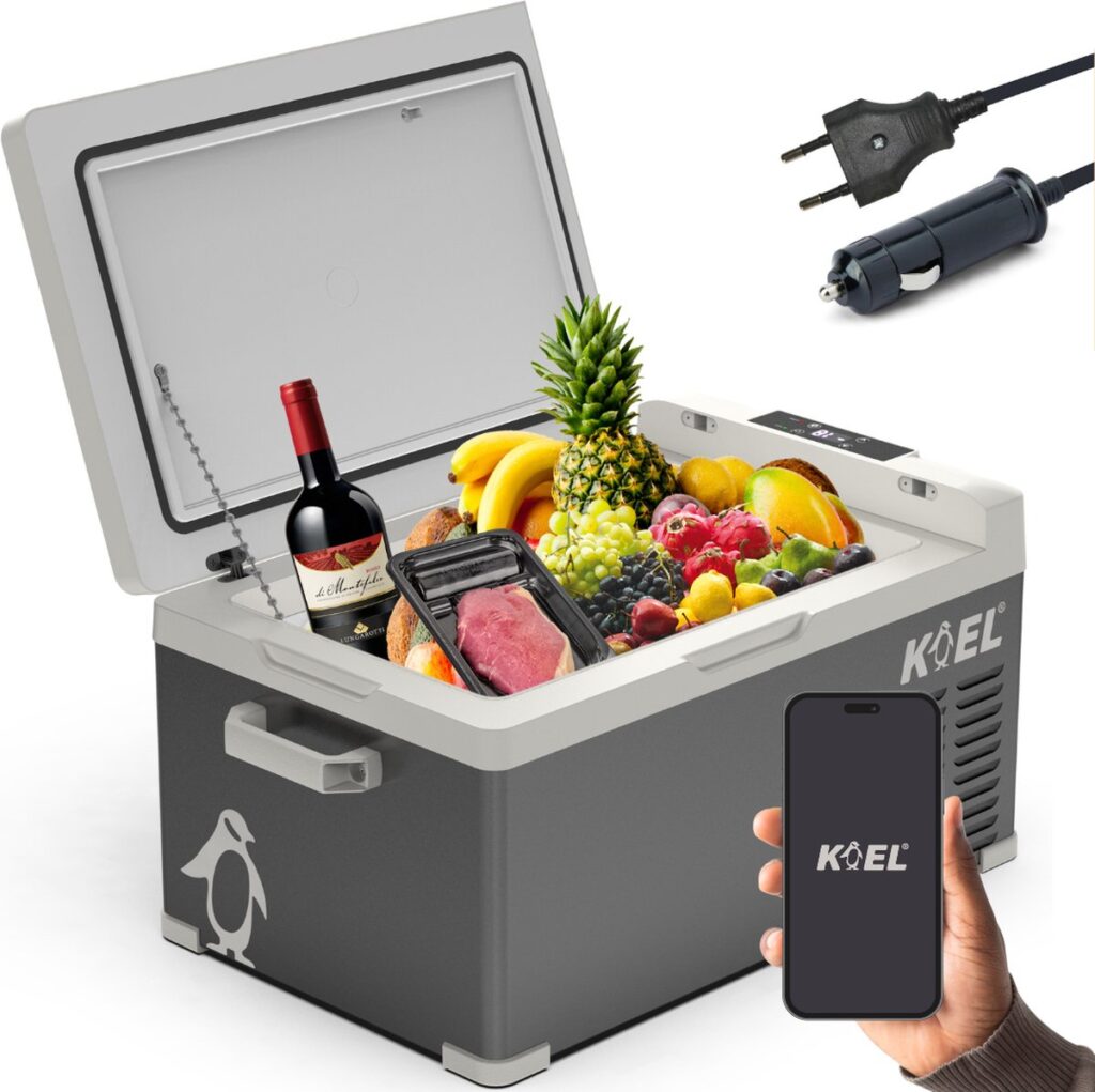 Koelbox met fruit, wijn en vlees, bijbehorende stekkers.